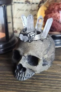 Realistic Skull Ring Holder [BONE] -Goth Accessories Sales Human Skull Jewelry 1800x1800