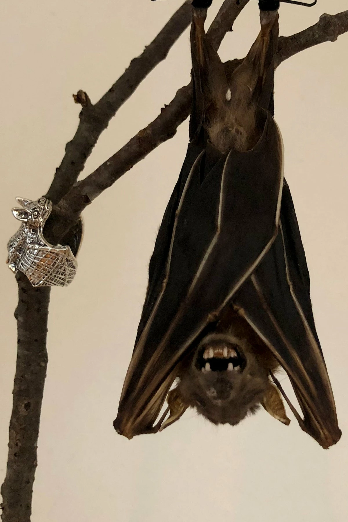 Vampire Bat Hugger Ring 4 Vampire Bat Hugger Ring - Image 4