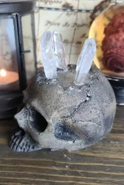 Realistic Skull Ring Holder [BONE] -Goth Accessories Sales SKull Ring Display 1800x1800