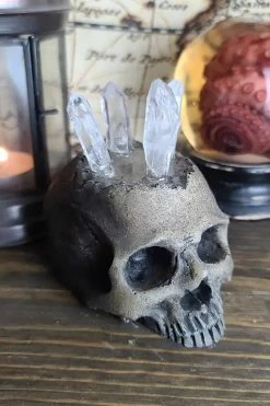 Realistic Skull Ring Holder [BONE] -Goth Accessories Sales Steampunk Jewlery Display 1800x1800