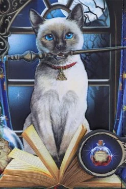 Hocus Pocus Embossed Wallet -Goth Accessories Sales ascasvdvdsvsds 1800x1800