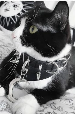 Moon Ritual Spiked Choker 9 Moon Ritual Spiked Choker -Goth Accessories Sales fsfsfsgftdfg 1800x1800