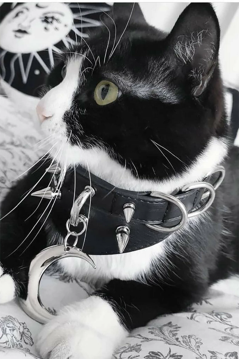 Moon Ritual Spiked Choker 5 Moon Ritual Spiked Choker - Image 5